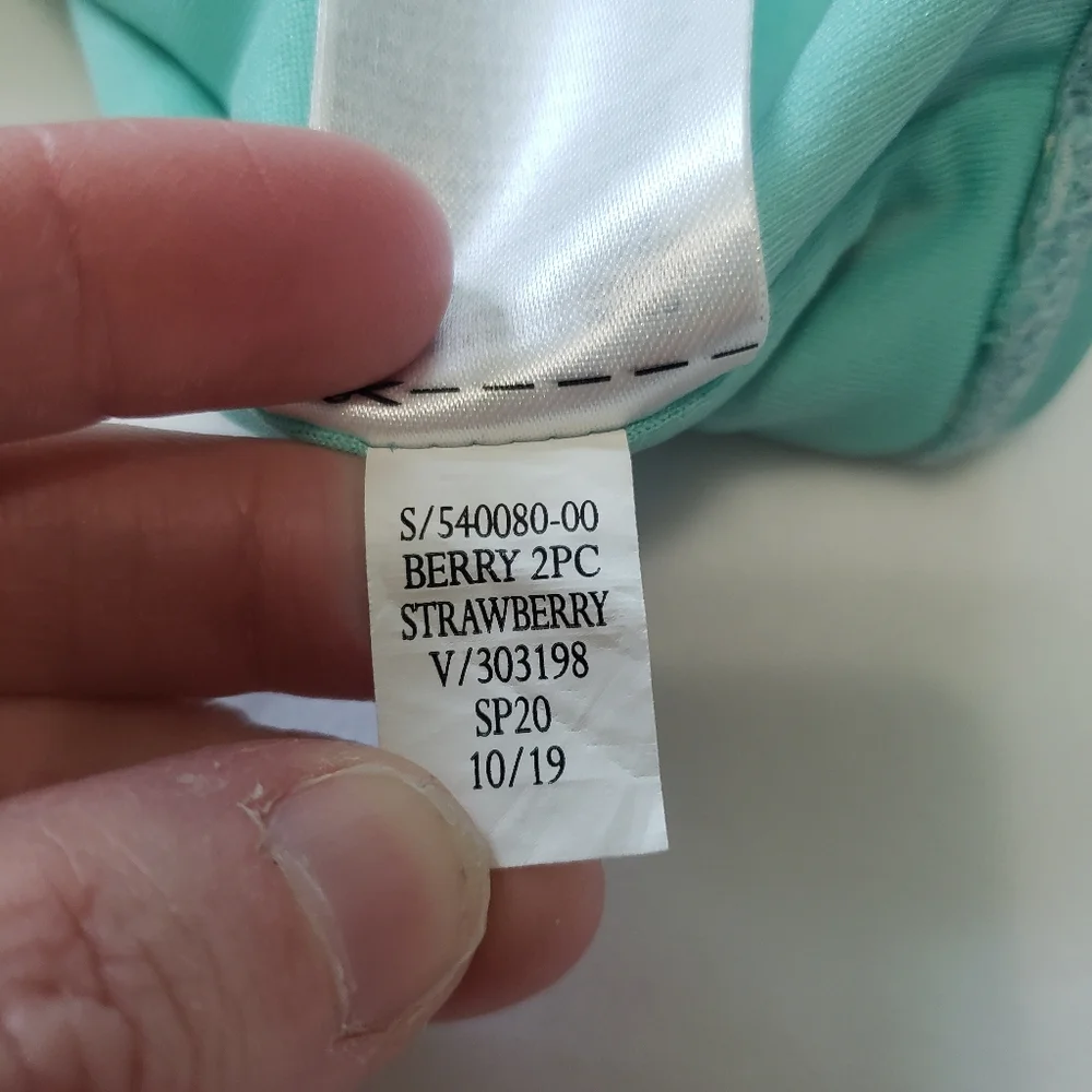 Baby Gap Strawberry Ruffle Swimsuit Top